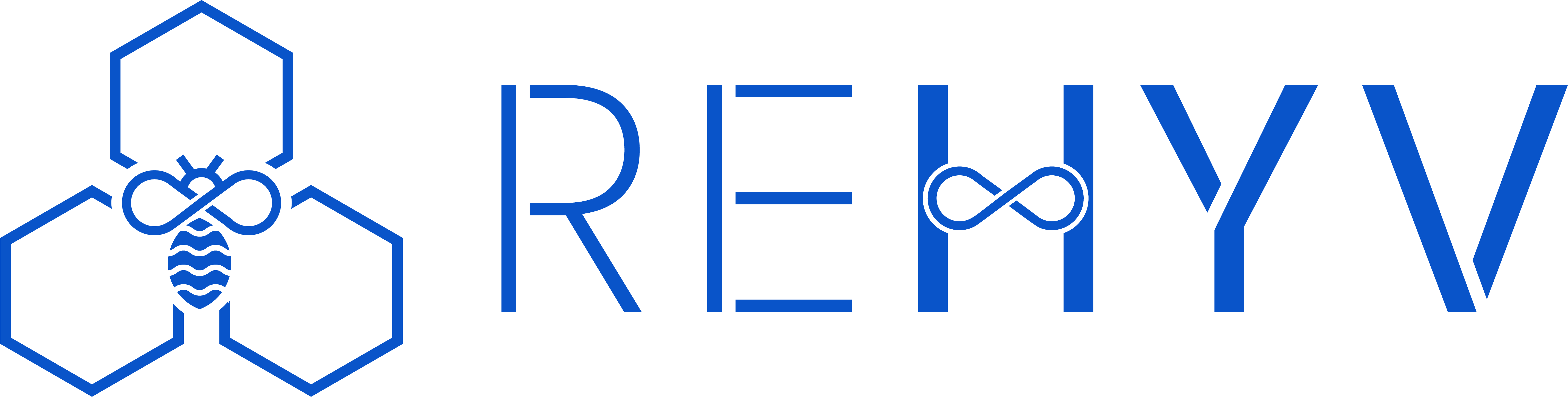 ReHYV